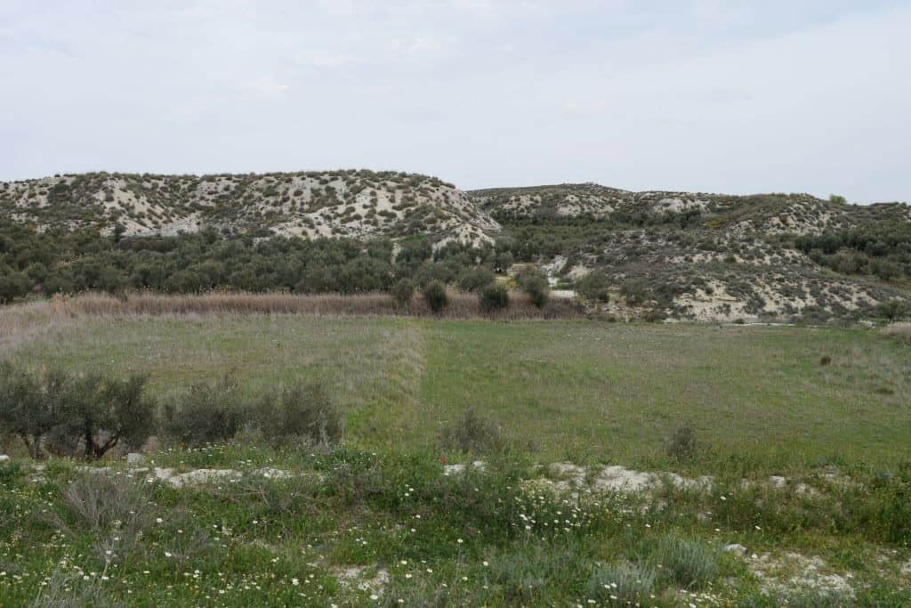 Cave house nestled in the scenic landscape of Benamaurel, Granada, surrounded by natural greenery an.