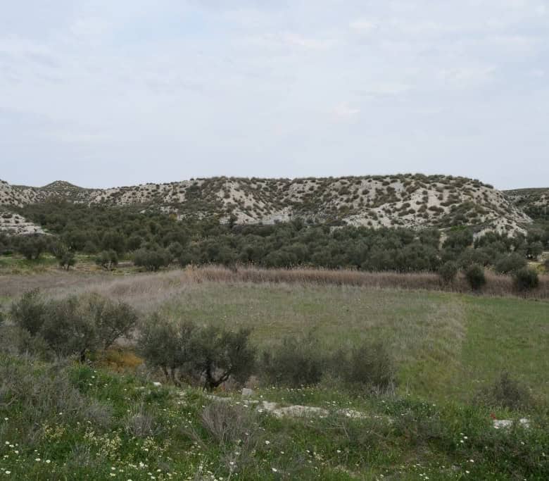 Cave house nestled in the scenic landscape of Benamaurel, Granada, surrounded by natural greenery an.