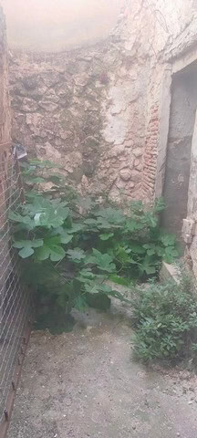 Traditional town house in Velez Blanco, Almeria with rustic stone walls and a small garden area.
