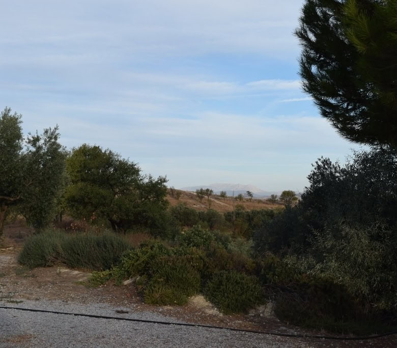 Cave house surrounded by trees in Cuevas del Campo, Granada, with scenic landscape views.