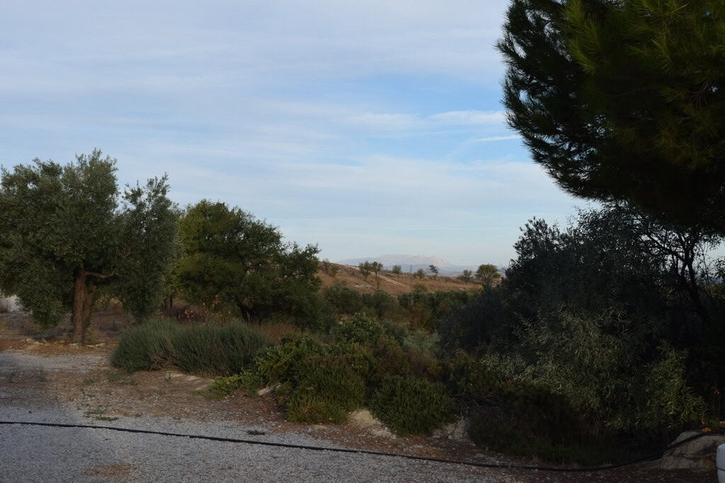Cave house surrounded by trees in Cuevas del Campo, Granada, with scenic landscape views.