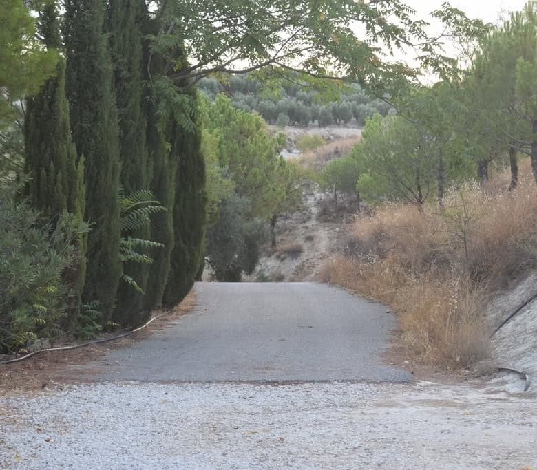 Cave house nestled in natural landscape of Cuevas del Campo, Granada, surrounded by trees and rugged.
