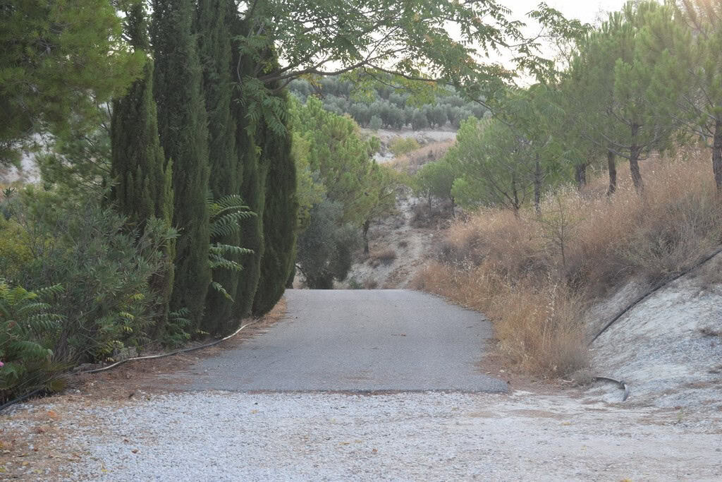 Cave house nestled in natural landscape of Cuevas del Campo, Granada, surrounded by trees and rugged.