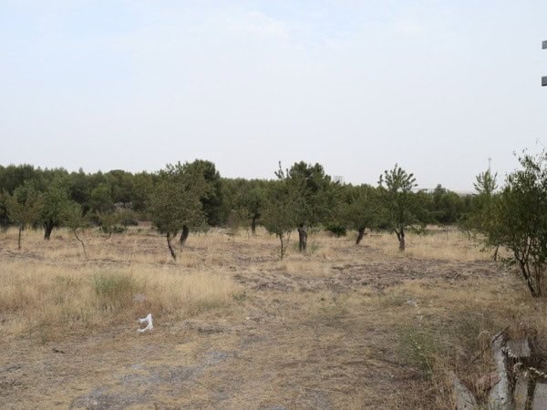 Farm property with olive trees in Baza, Granada, ideal for agriculture or rural living.