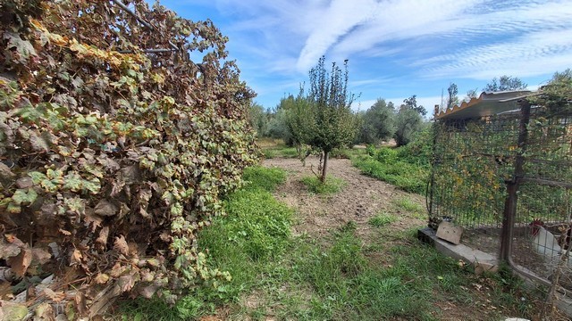 Rural property for sale in Seron, Almeria, featuring lush gardens and scenic outdoor space.