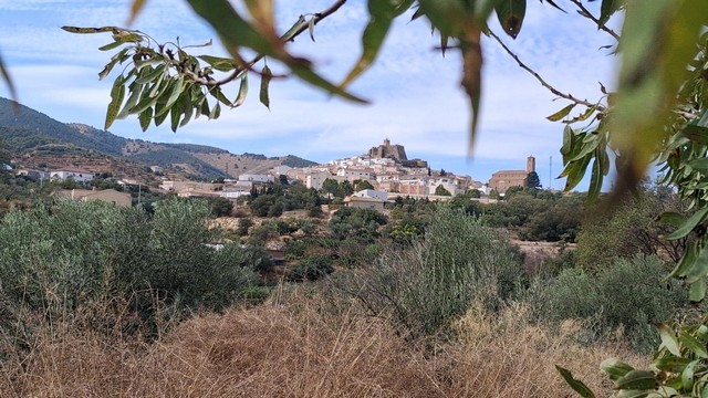 Rural property with scenic views of Seron, Almeria, surrounded by olive trees and natural landscape.
