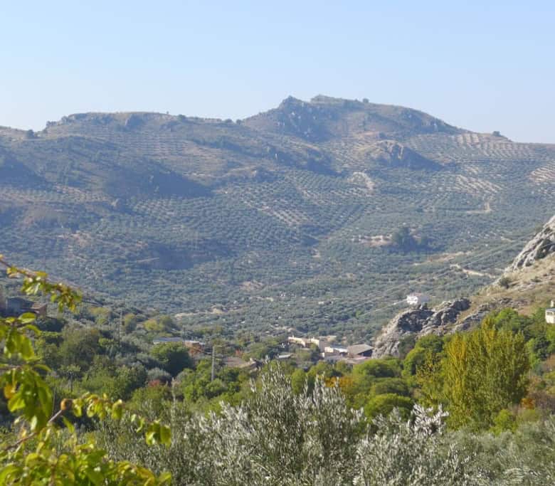 Scenic view of Don Pedro's rural landscape with rolling hills and lush greenery in Jaen.