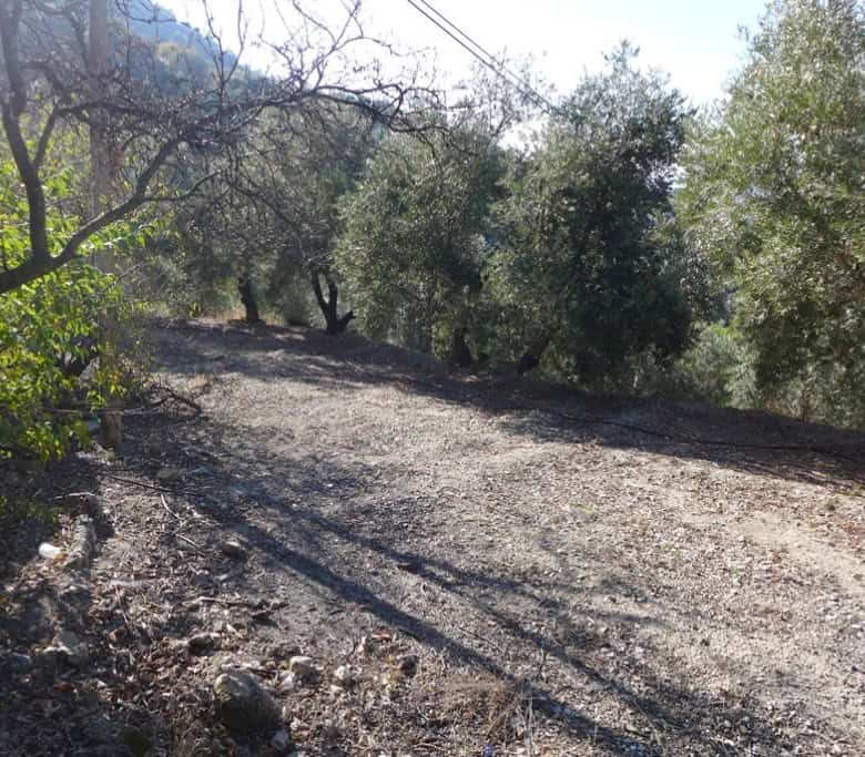 Rural property with dirt road access in Don Pedro, Jaen, surrounded by olive trees and natural lands.