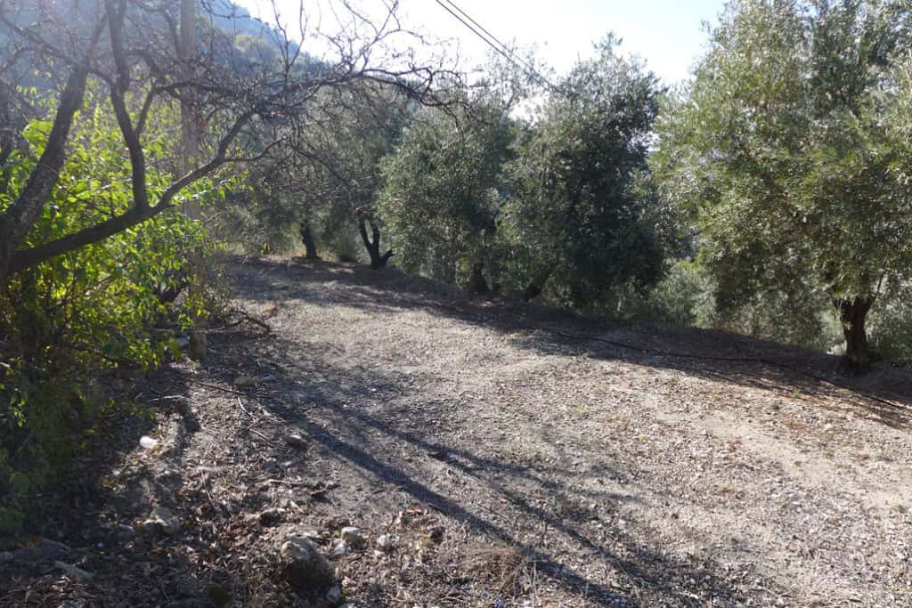 Rural property with dirt road access in Don Pedro, Jaen, surrounded by olive trees and natural lands.