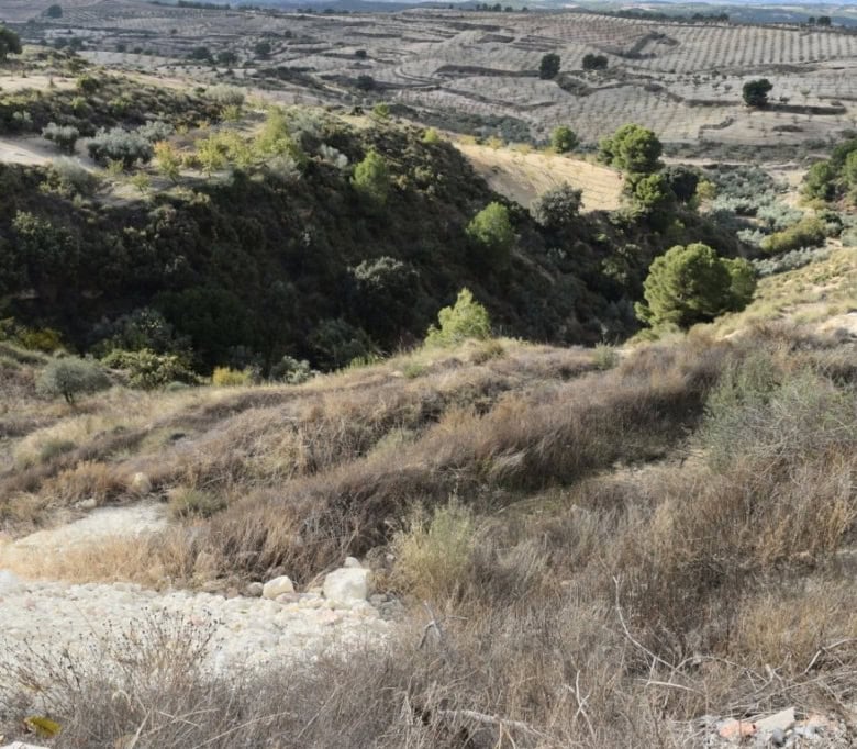 Cave house nestled in the hills of Carramaiza, Granada, surrounded by natural landscape and scenic v.