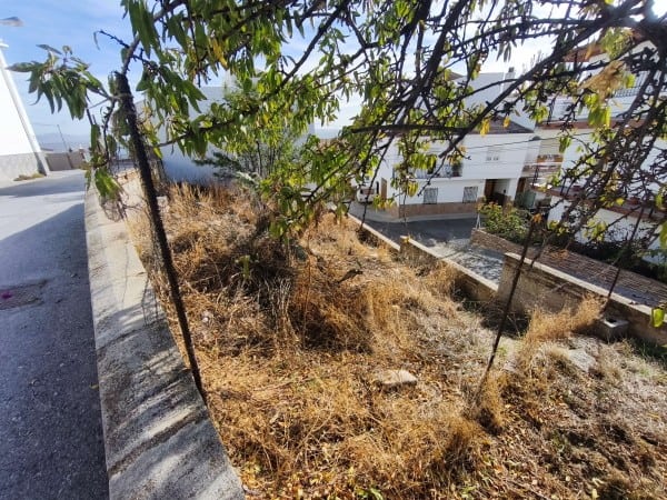 Cave house in Baza, Granada with outdoor garden and surrounding natural landscape.