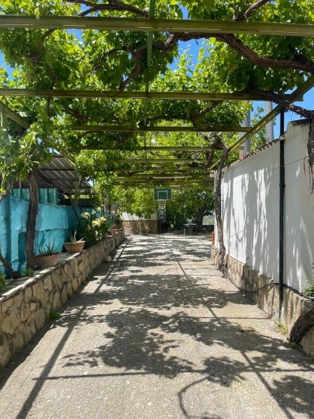 Beautiful rural property with lush greenery and shaded outdoor space in Quesada, Jaen.