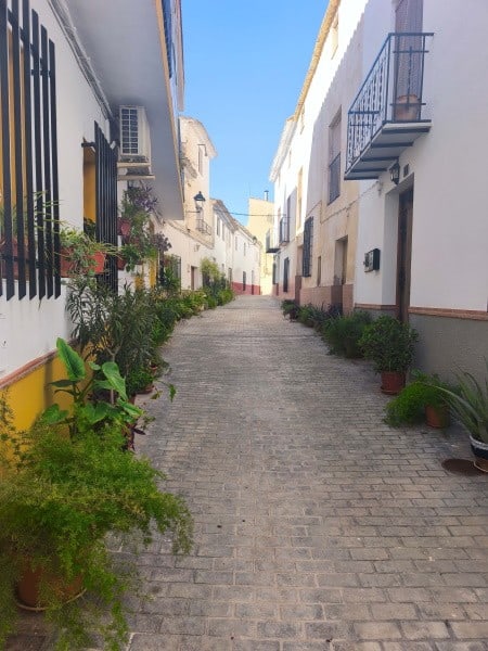 Village street in Hinojares, Jaen with white buildings and potted plants.