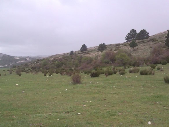 Finca in Huescar with scenic mountain views and lush greenery in Granada, Spain. Perfect for rural l.
