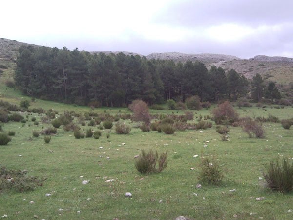 Finca in Huescar with lush green fields and surrounding trees in Granada, Spain. Ideal for countrysi.