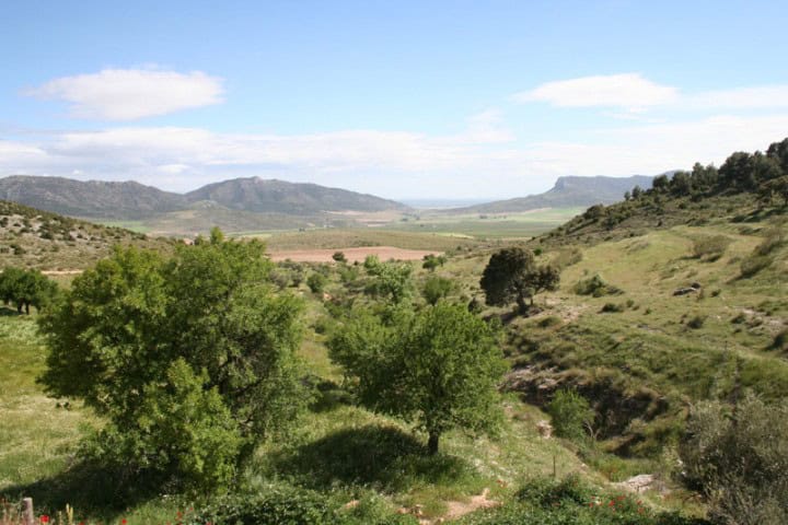 Finca in Huescar with lush greenery and scenic mountain views in Granada, Spain. Perfect for country.