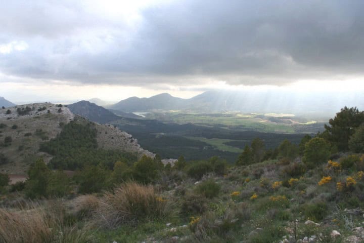 Finca with scenic mountain views in Huescar, Granada, featuring lush greenery and natural landscape.