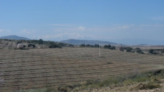 Rural finca in Gor, Granada with open fields and mountain views.