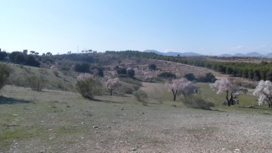 Beautiful finca in Gor, Granada with scenic countryside views and blossoming trees.
