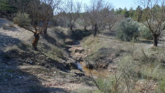 Scenic finca in Gor, Granada with natural landscape, trees, and a small stream. Ideal for countrysid.