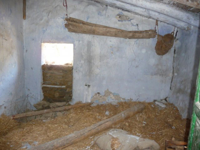 Farm property interior with rustic walls and natural light.