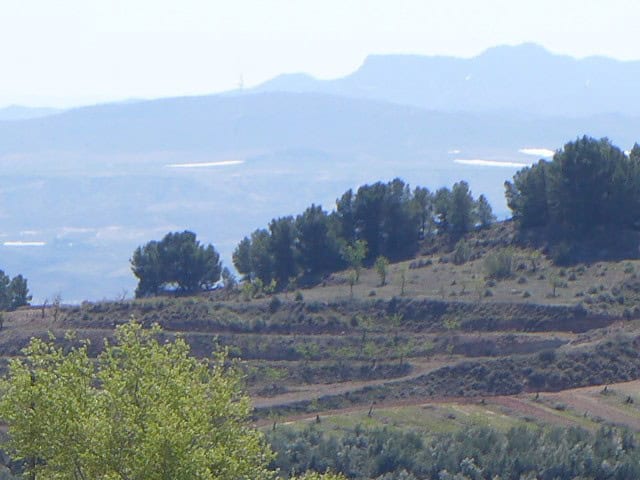 Cave house nestled in the scenic landscape of Cuevas del Campo, Granada, surrounded by lush greenery.