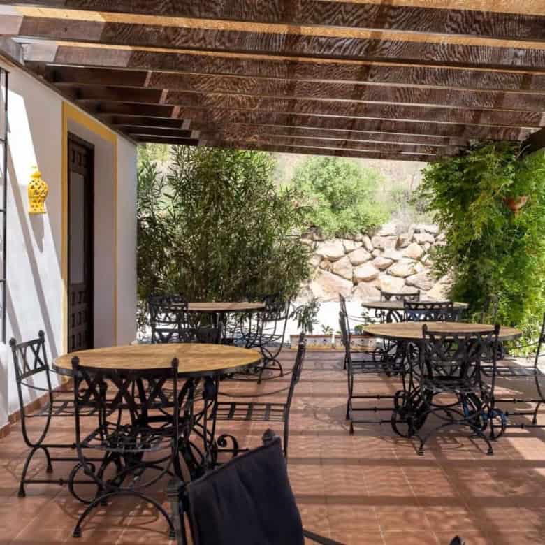 Outdoor patio with tables, chairs, and lush plants for relaxing or dining.