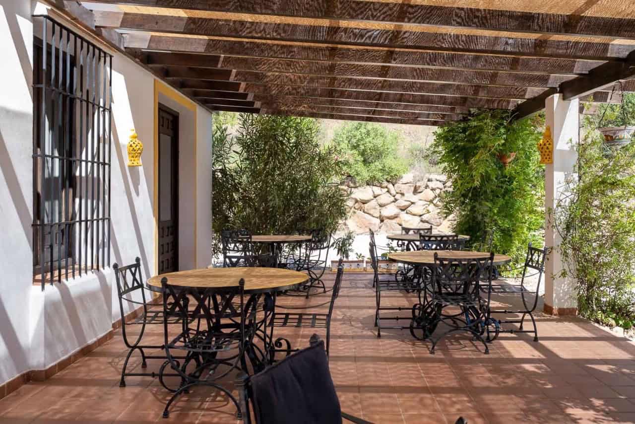 Outdoor patio with tables, chairs, and lush plants for relaxing or dining.