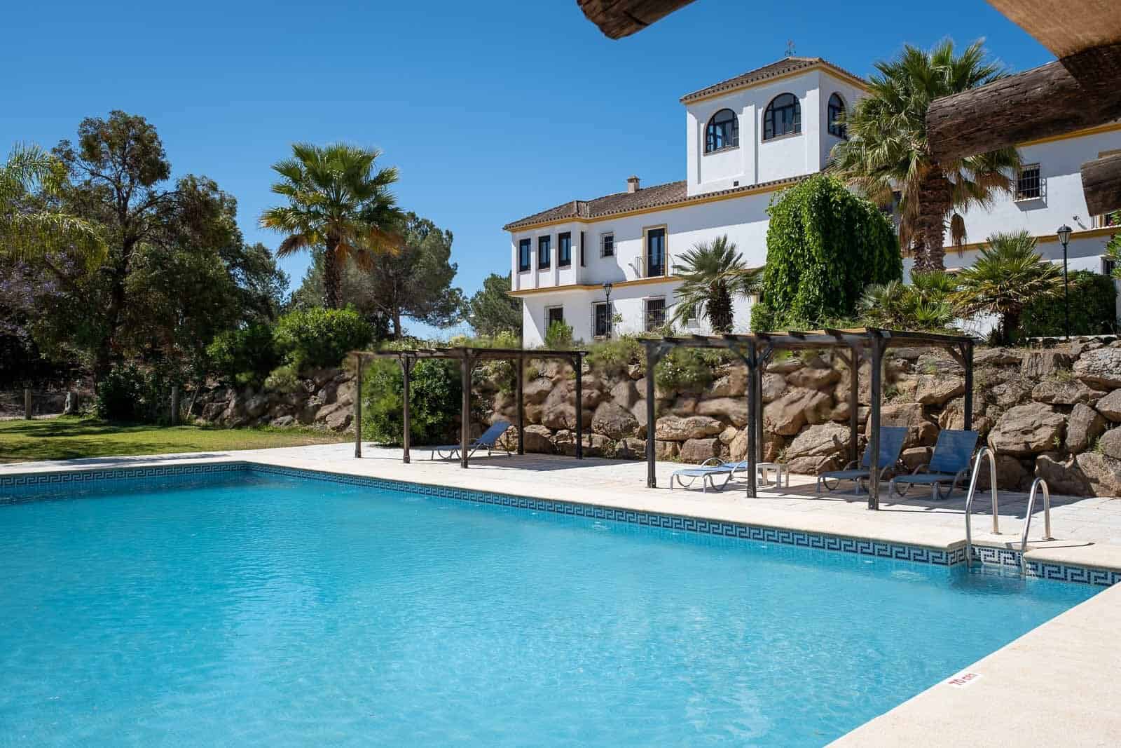 Beautiful villa with swimming pool, palm trees, and outdoor lounging area.