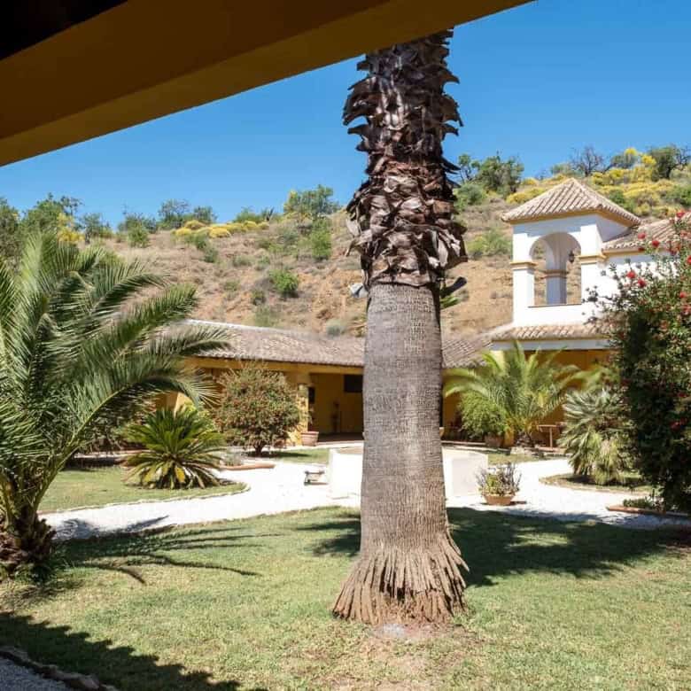 Luxury villa with lush garden and palm trees in Spain, perfect for a peaceful lifestyle and investme.