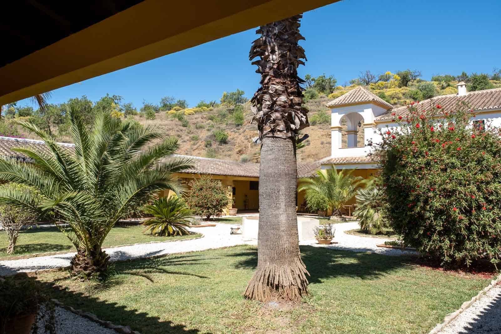 Luxury villa with lush garden and palm trees in Spain, perfect for a peaceful lifestyle and investme.