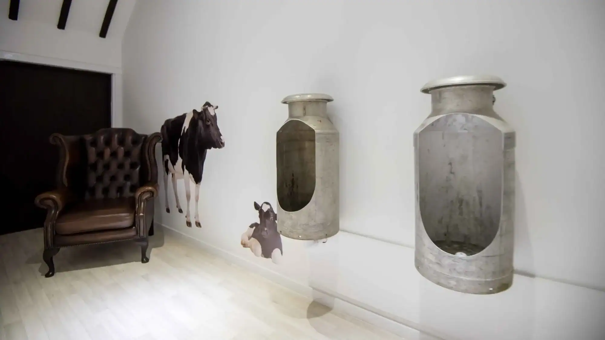 Farmhouse decor with cow wall decals and vintage milk cans Decorative cow wall stickers and antique milk cans in a modern interior setting.