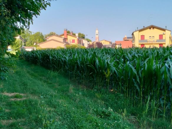 Land for sale in Silvelle di Trebaseleghe, Padua, Veneto, Italy, ideal for development or farming.