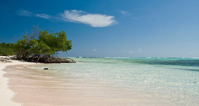 Beautiful beachfront land on Little Cayman with clear waters and lush greenery.