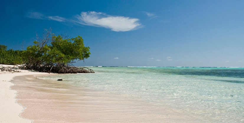 Beautiful beachfront land on Little Cayman with clear waters and lush greenery.