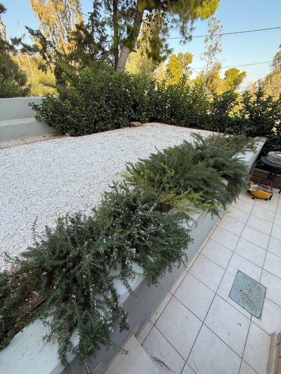 Elegant outdoor garden with lush greenery and modern patio in Neos Voutzas, Attica, Greece.
