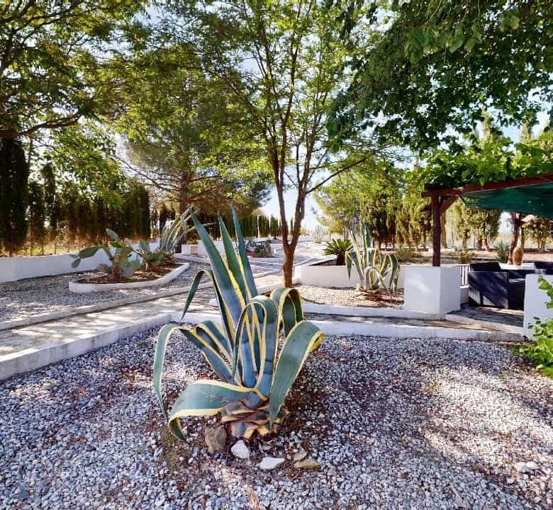Boutique hotel for sale in Caniles, Granada, Spain, featuring a charming outdoor garden and relaxing.