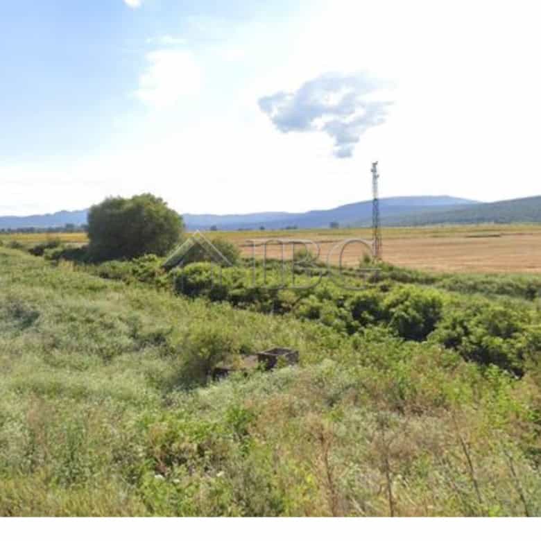 Vineyard plot for sale in Sungurlare, Burgas Province, ideal for wine production or agriculture.