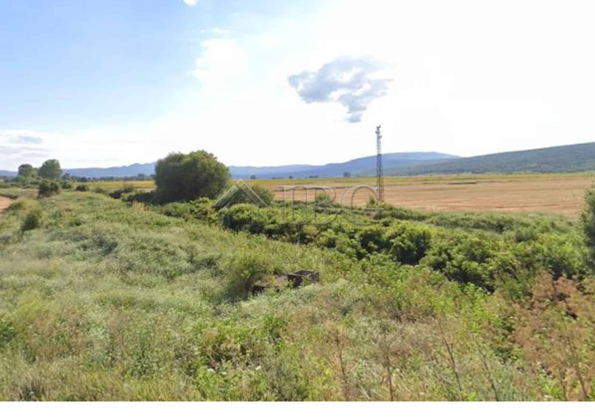Vineyard plot for sale in Sungurlare, Burgas Province, ideal for wine production or agriculture.