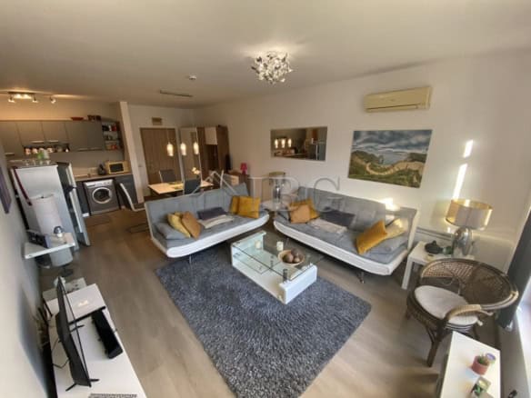 Bright living room with comfortable sofas and scenic mountain view.