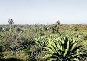 Beautiful land plots available on Little Cayman, Cayman Islands, perfect for investment or building.