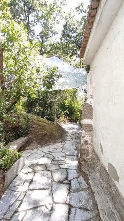 Beautiful stone pathway surrounded by lush greenery in Santa Comba Dao, Viseu, Portugal.