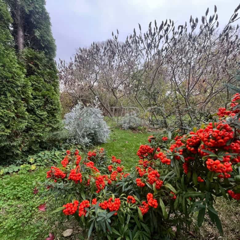 Comfortable 1-bedroom apartment overlooking lush green area and sea in Sveti Nikola complex.