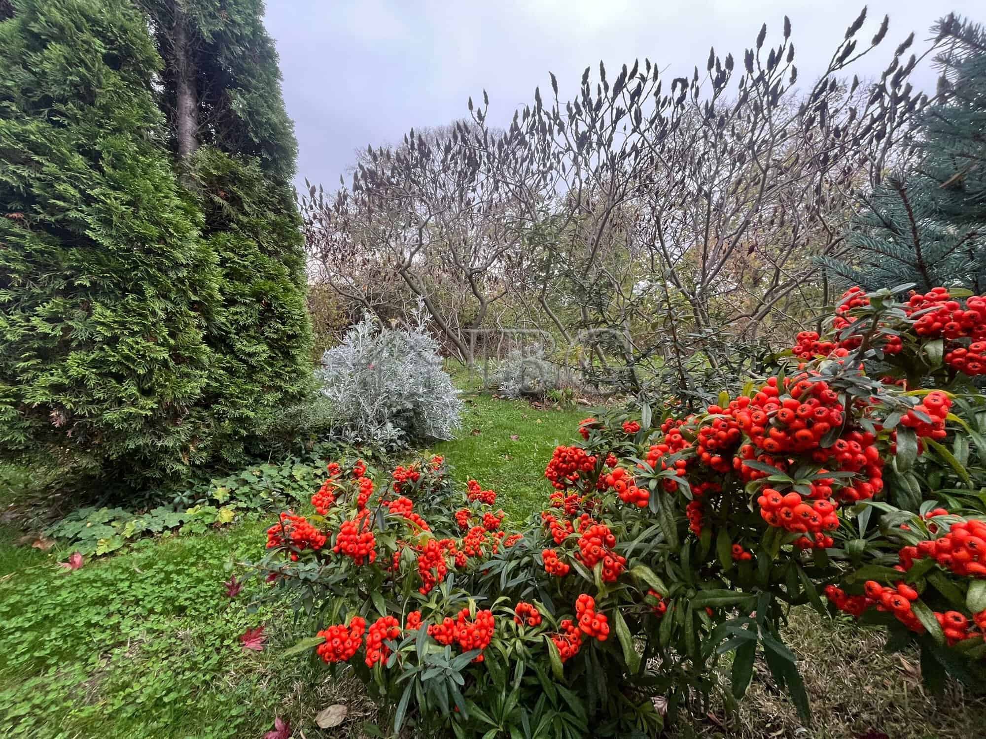 Comfortable 1-bedroom apartment overlooking lush green area and sea in Sveti Nikola complex.