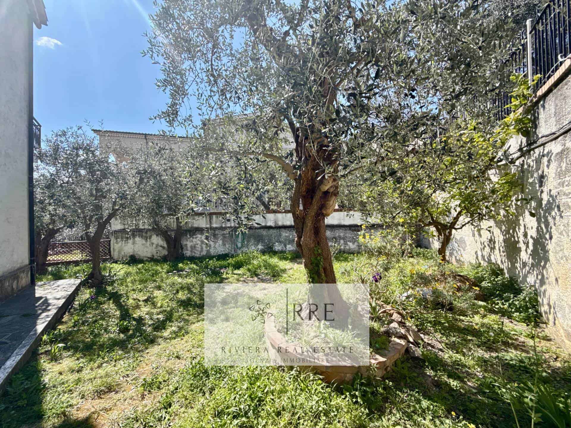 Garden with mature tree and lush greenery in a residential property.