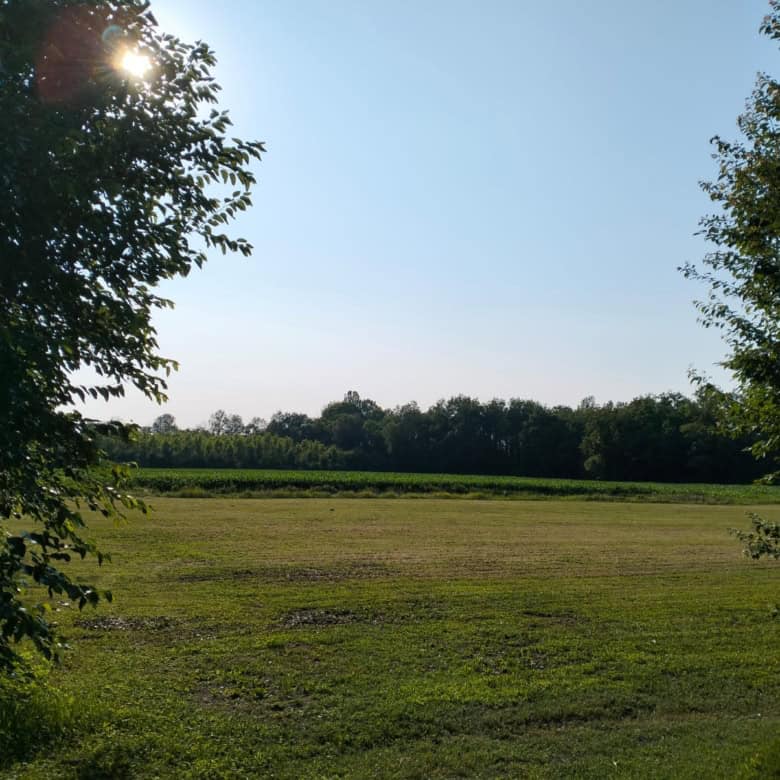 Land for sale in Silvelle di Trebaseleghe, Padua, Veneto, Italy.