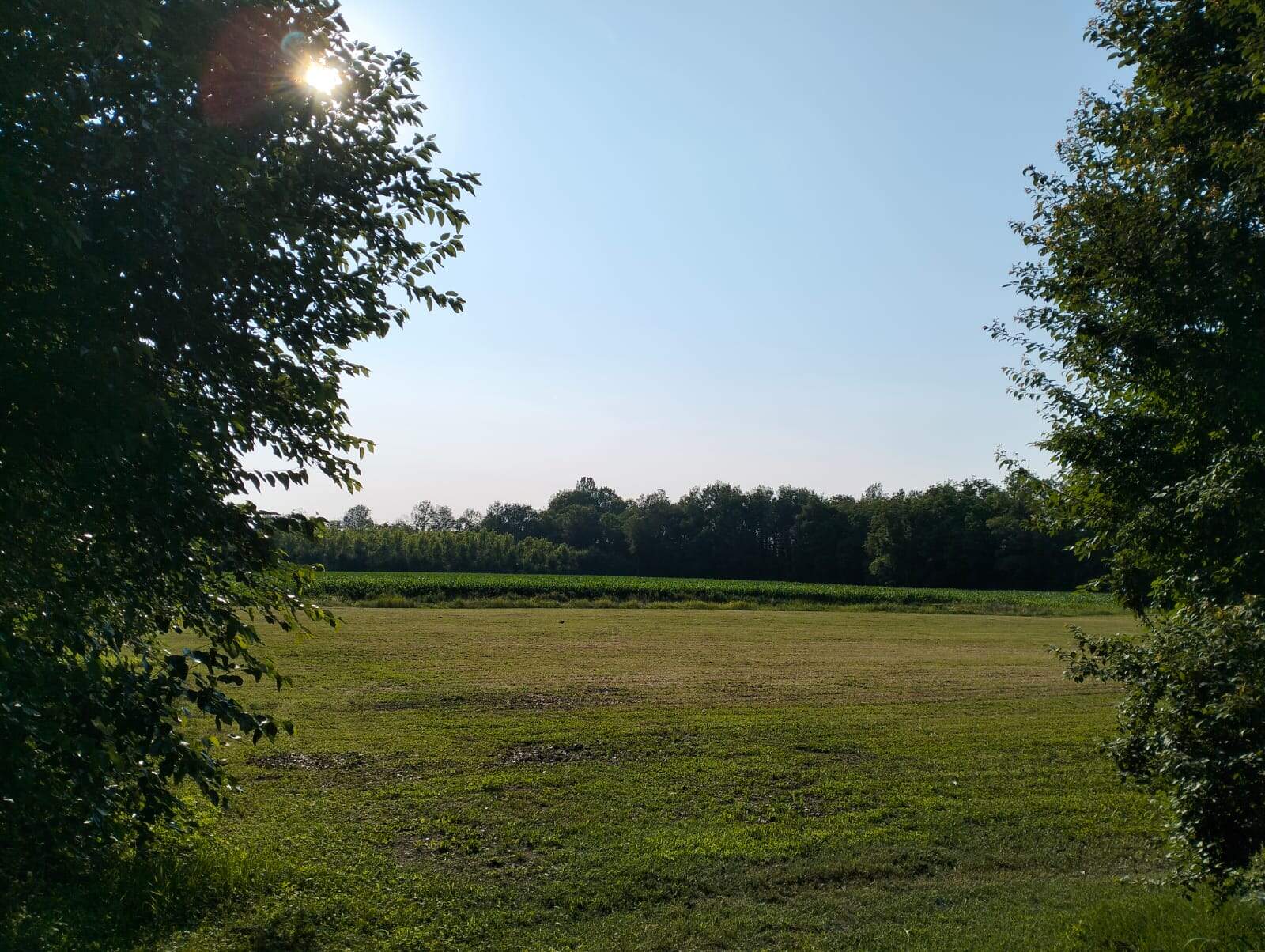 Land for sale in Silvelle di Trebaseleghe, Padua, Veneto, Italy.