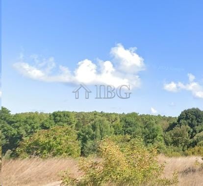 Regulated land plot in Ahtopol with lush greenery and clear blue sky, ideal for building a home or i.