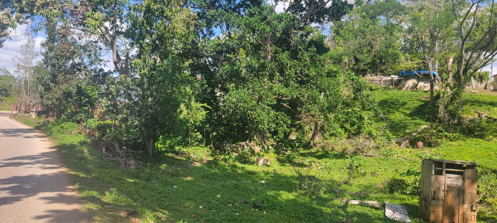 Excellent Plot of Land in Grey Ground Manchester Jamaica Beautiful land plot for sale in Grey Ground, Manchester, Jamaica.