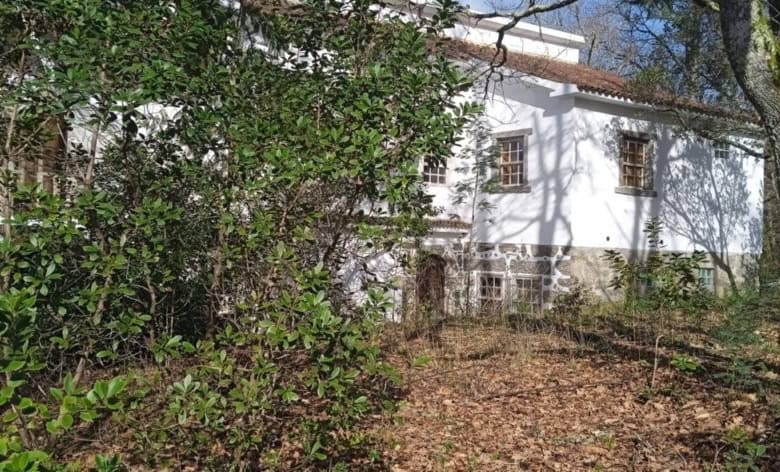 Farm estate with traditional house surrounded by lush greenery in Santa Comba Dao, Viseu, Portugal.